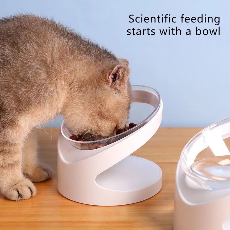 Tilted Pet Feeder for Cervical Protection in Dogs and Cats
