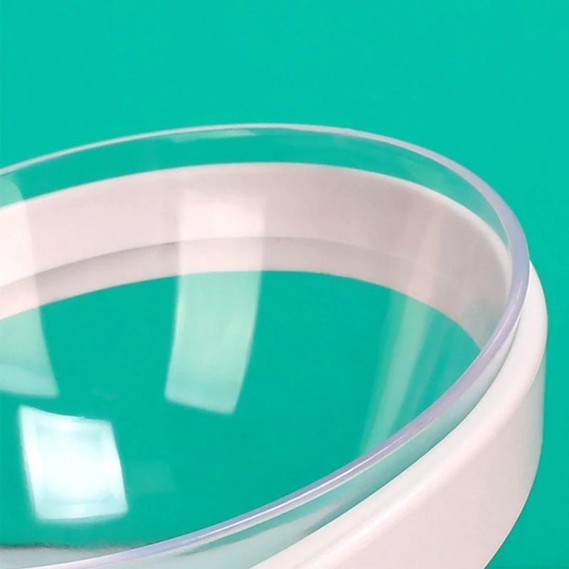 Tilted Pet Feeder for Cervical Protection in Dogs and Cats