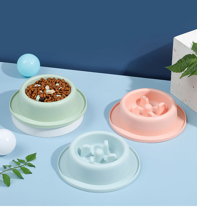Slow Feeder Bowl for Dogs and Cats
