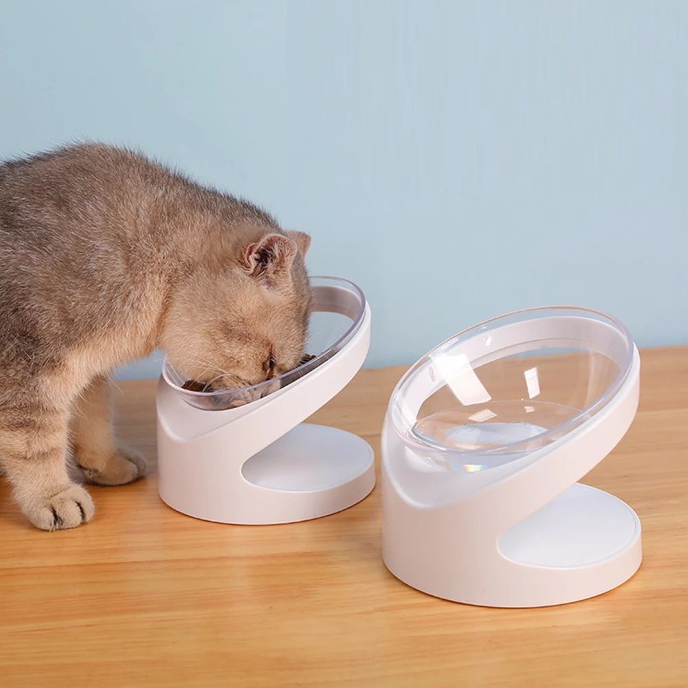 Tilted Pet Feeder for Cervical Protection in Dogs and Cats