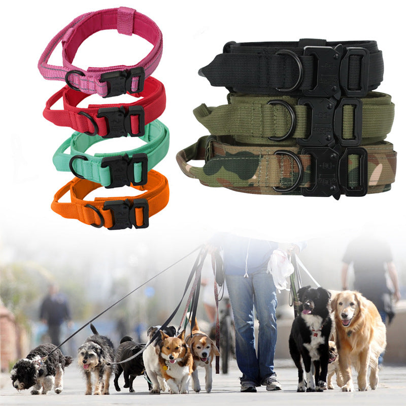 Coleira Tática com Trela para Cães - Treino e Exterior