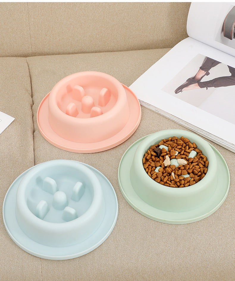 Slow Feeder Bowl for Dogs and Cats