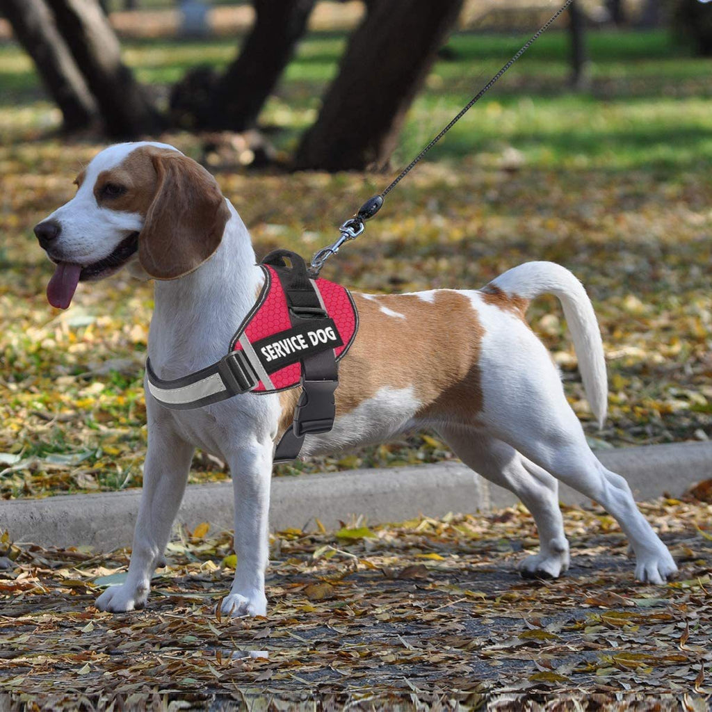 Arnês Refletivo Confortável para Cães com Trela