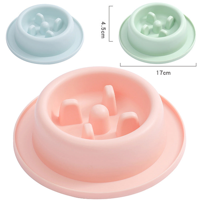 Slow Feeder Bowl for Dogs and Cats