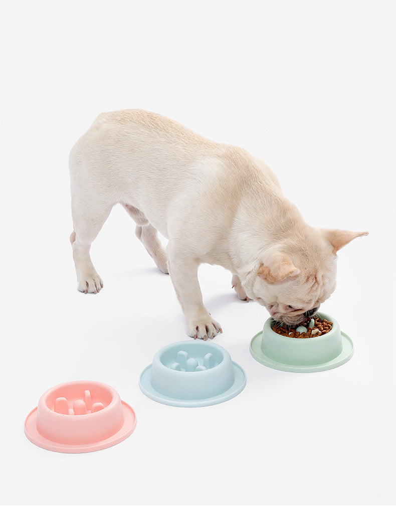 Slow Feeder Bowl for Dogs and Cats