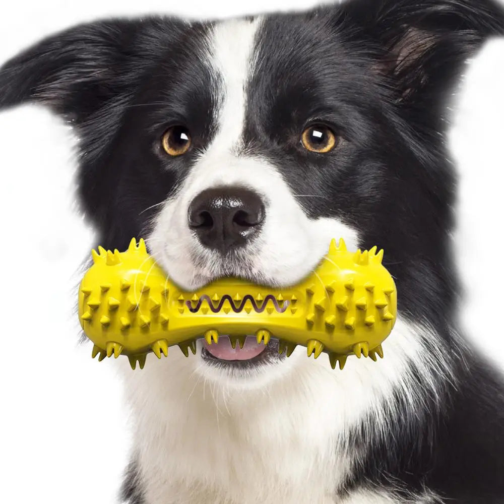 Osso Haltere com Som para Cães