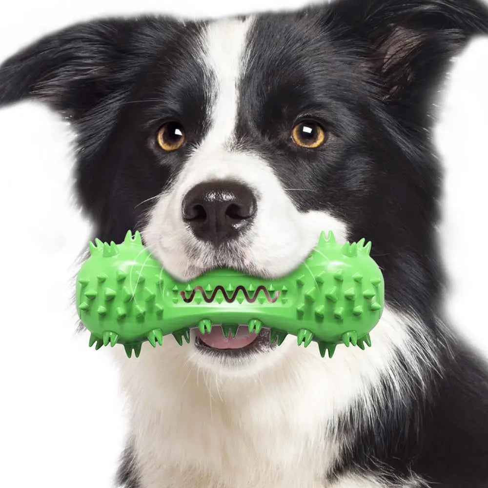 Osso Haltere com Som para Cães